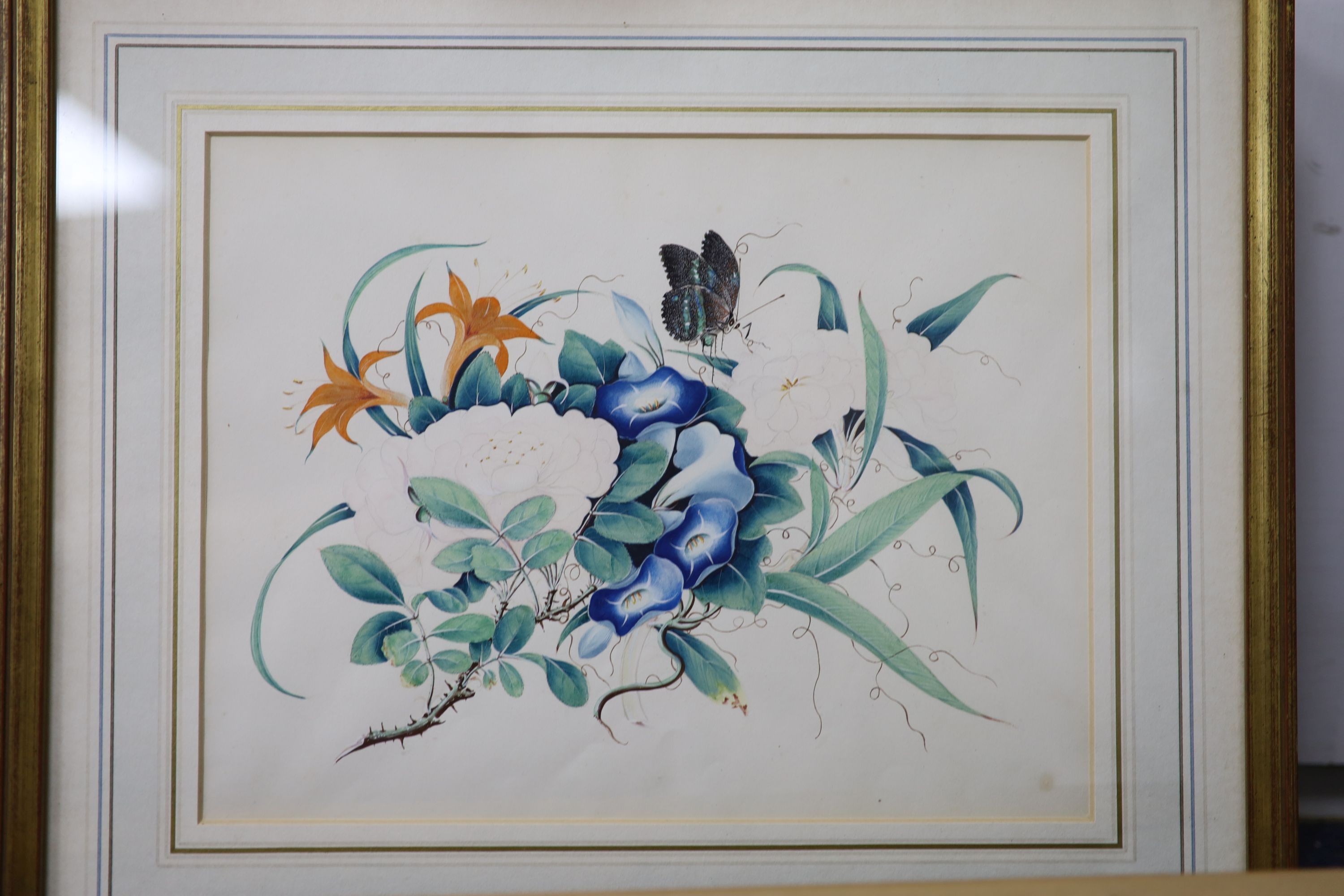 19th century English School, a set of eight watercolour and gouache botanical studies with butterflies, 20 x 27cm